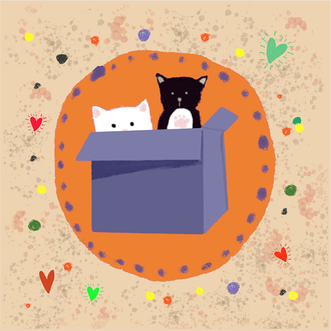 TECIDO TRICOLINE ESTAMPADO GATINHOS NA CAIXA PATCH AFONSO FRANCO 10x10cm