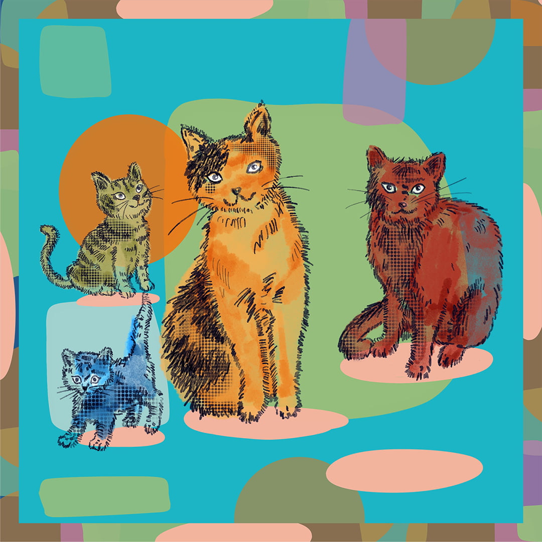 TECIDO TRICOLINE ESTAMPADO FELINOS PATCH AFONSO FRANCO 10x10cm