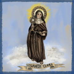TECIDO TRICOLINE ESTAMPADA SANTA CLARA PATCH AFONSO FRANCO